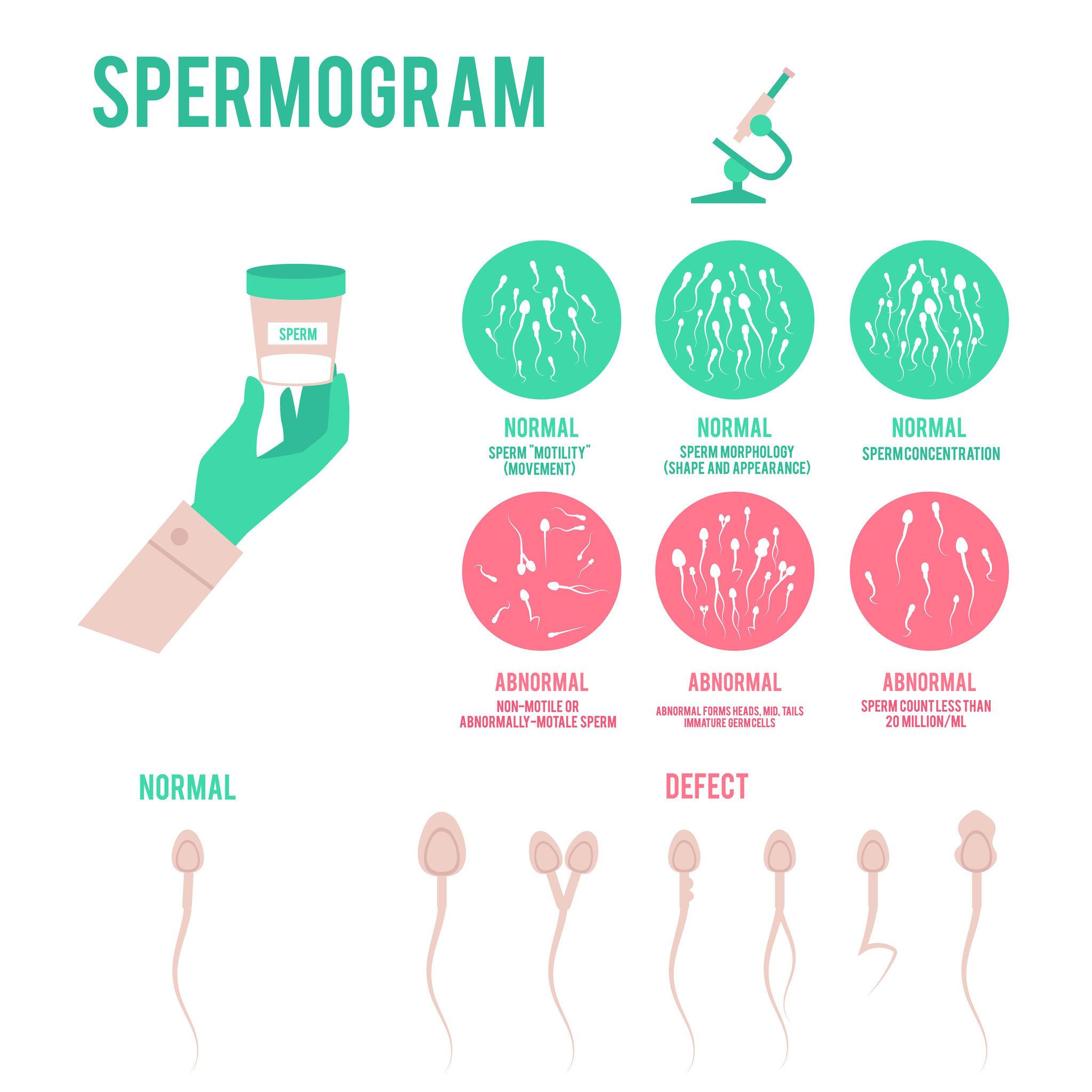 Sperm Count And Fertility All You Need To Know Bee 